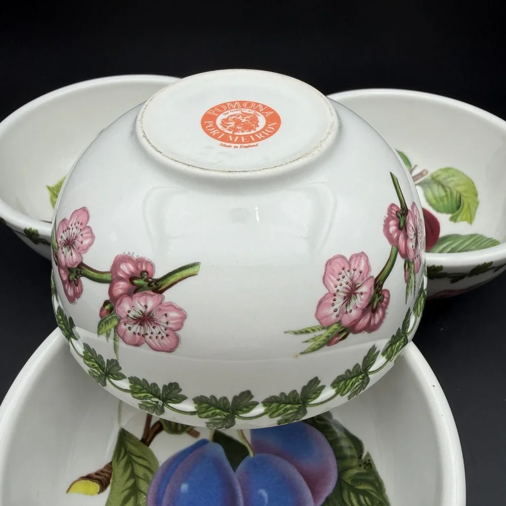 Vtg Portmeirion Pomona Cereal Bowls Set 4 Fruit Botanical Cottagecore 5 1/4 Inch